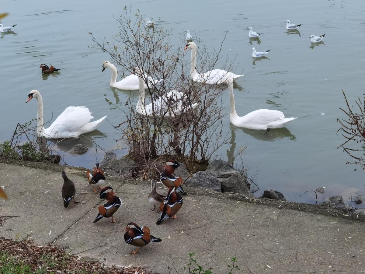 马恩河畔莱佩尔勒Les Pingouins De La Marne住宿加早餐旅馆 外观 照片